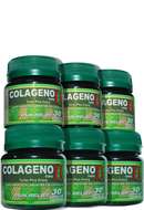 Colágeno TIPO II - 6 POTES